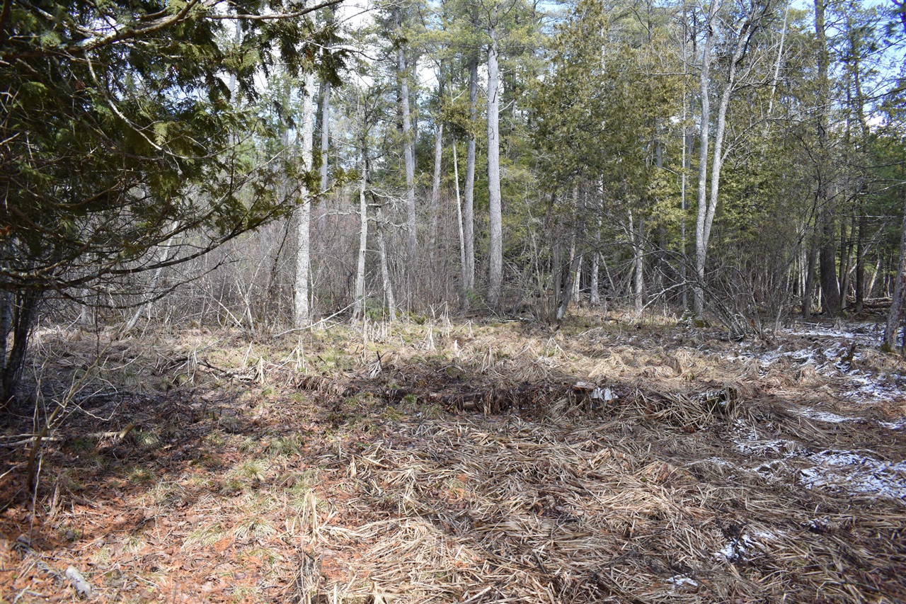 5199 E Marquette Trail, Chase, MI, 49623-8677