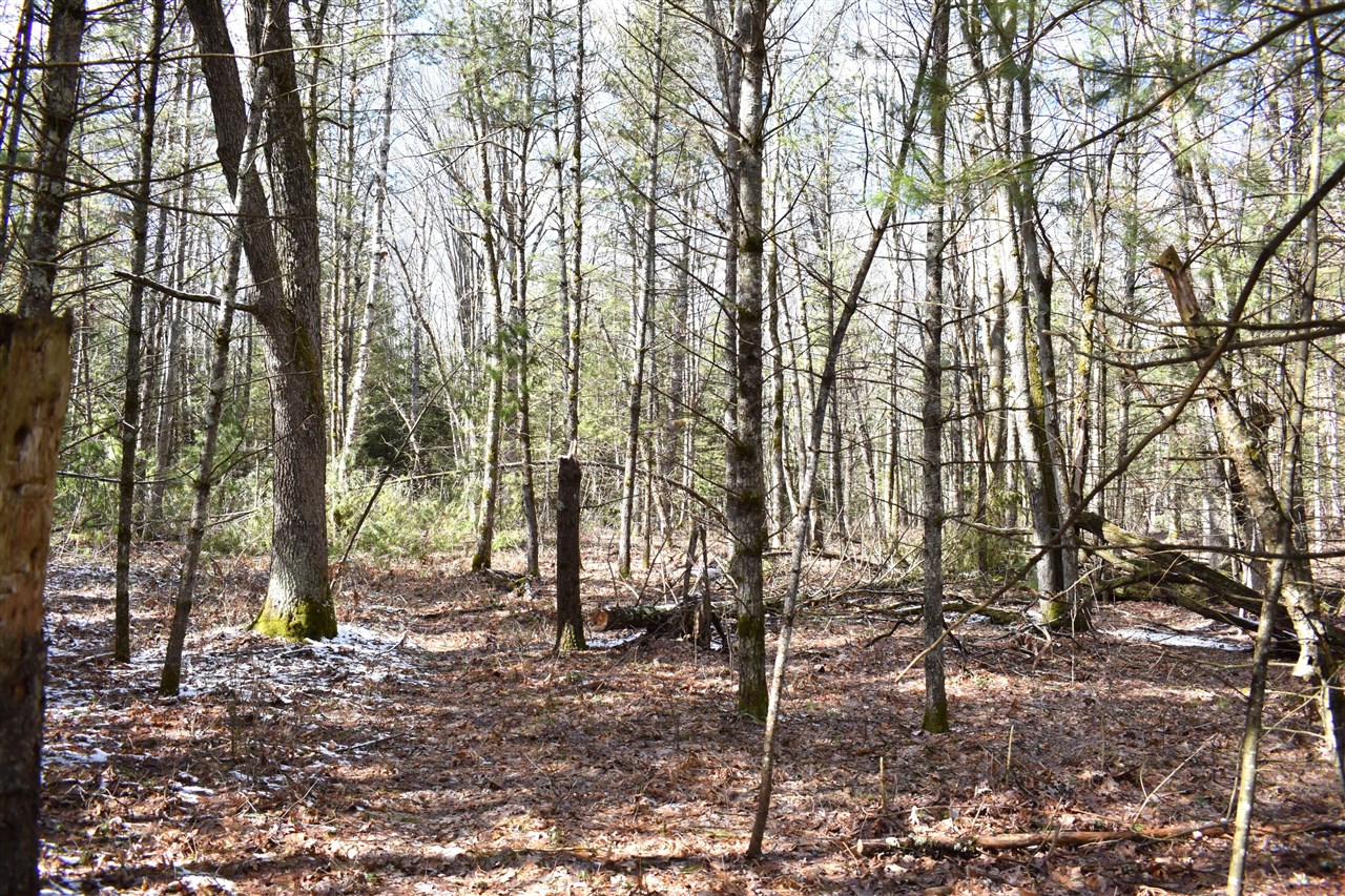 5199 E Marquette Trail, Chase, MI, 49623-8677