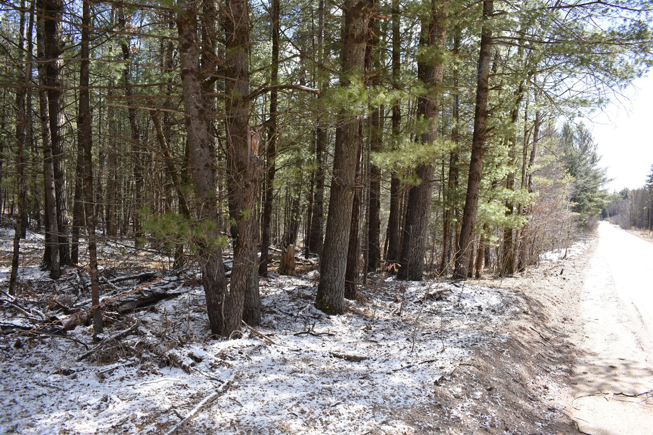 5199 E Marquette Trail, Chase, MI, 49623-8677