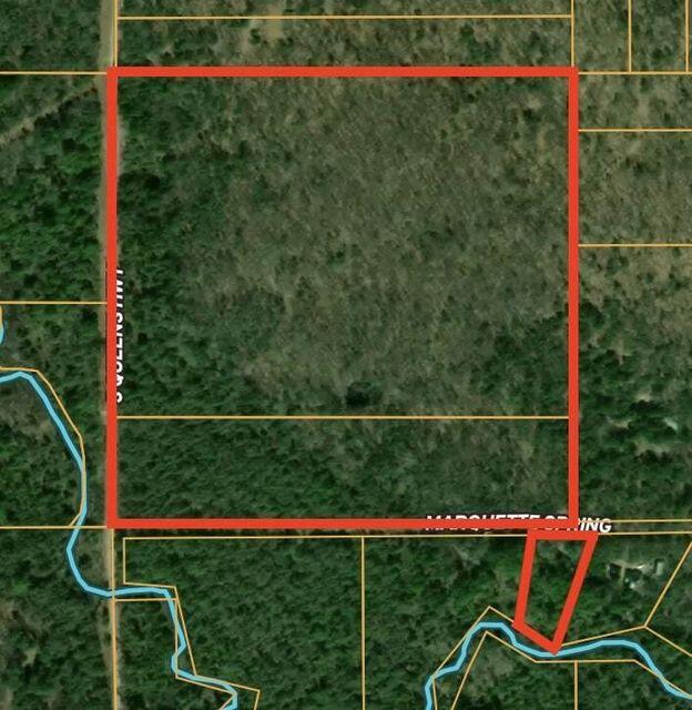 5199 E Marquette Trail, Chase, MI, 49623-8677