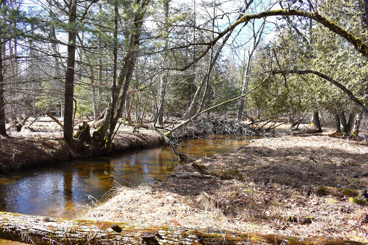 5199 E Marquette Trail, Chase, MI, 49623-8677