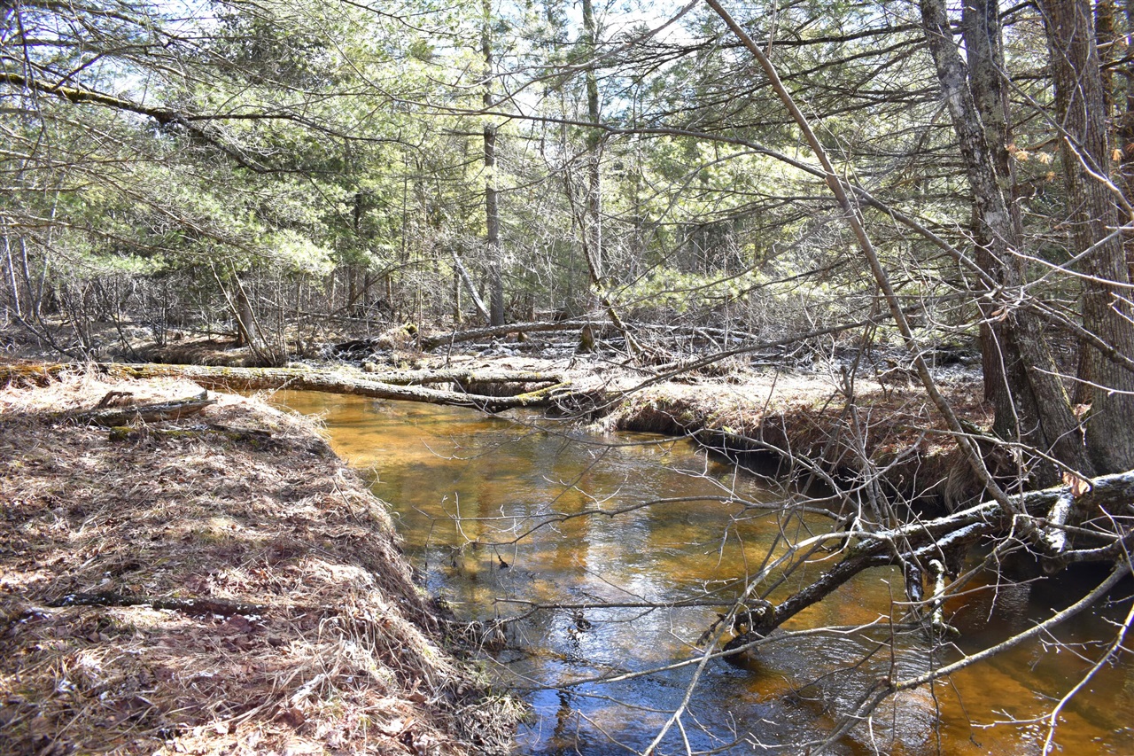 5199 E Marquette Trail, Chase, MI, 49623-8677