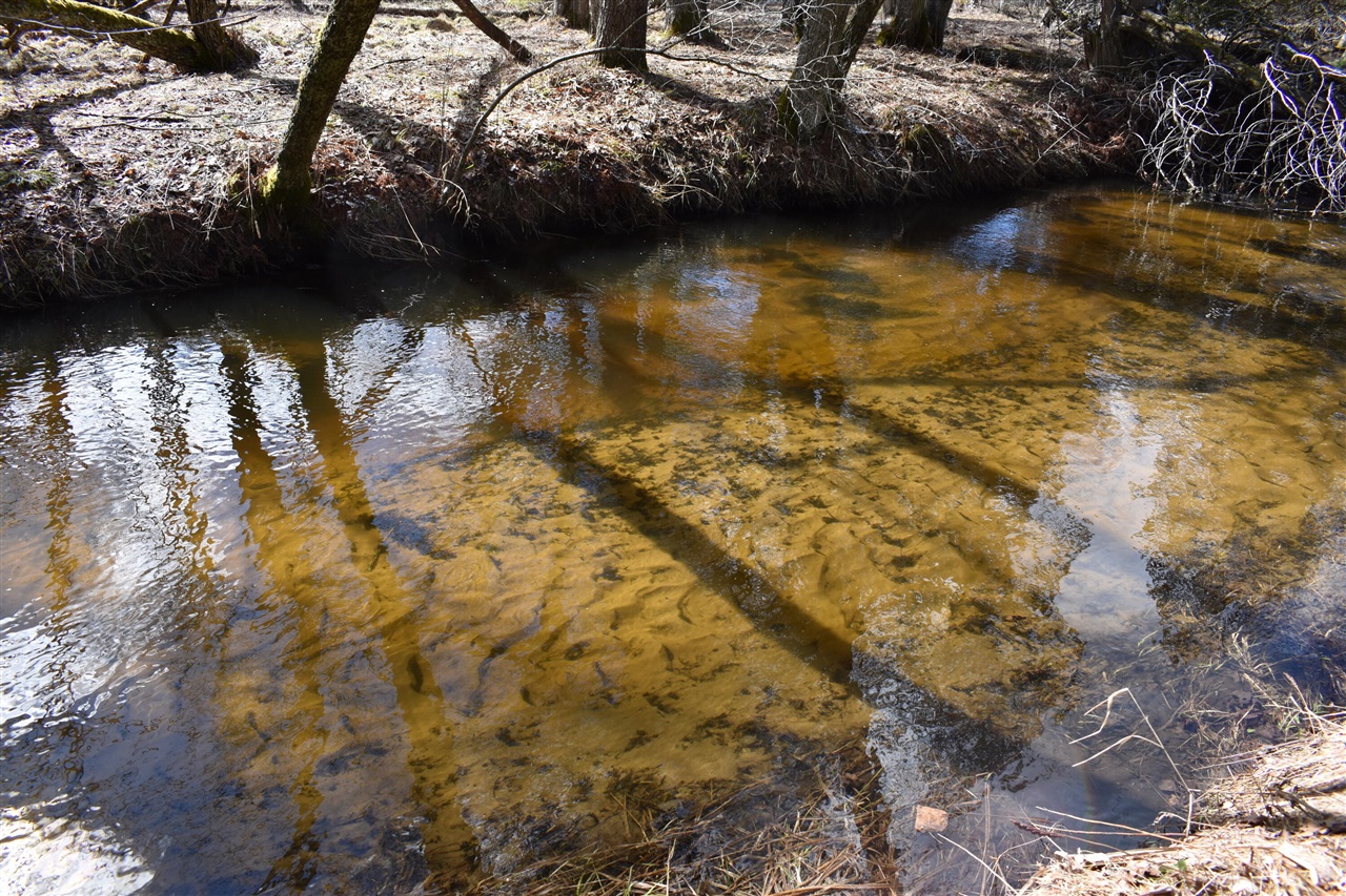 5199 E Marquette Trail, Chase, MI, 49623-8677