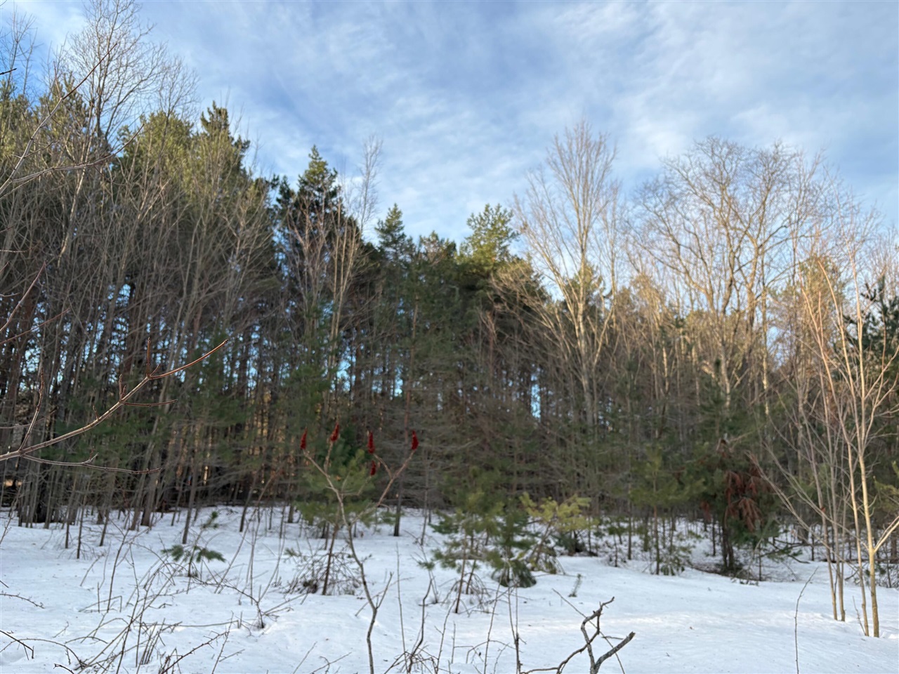 5766 Wallaker Road, Benzonia, MI, 49616-49616