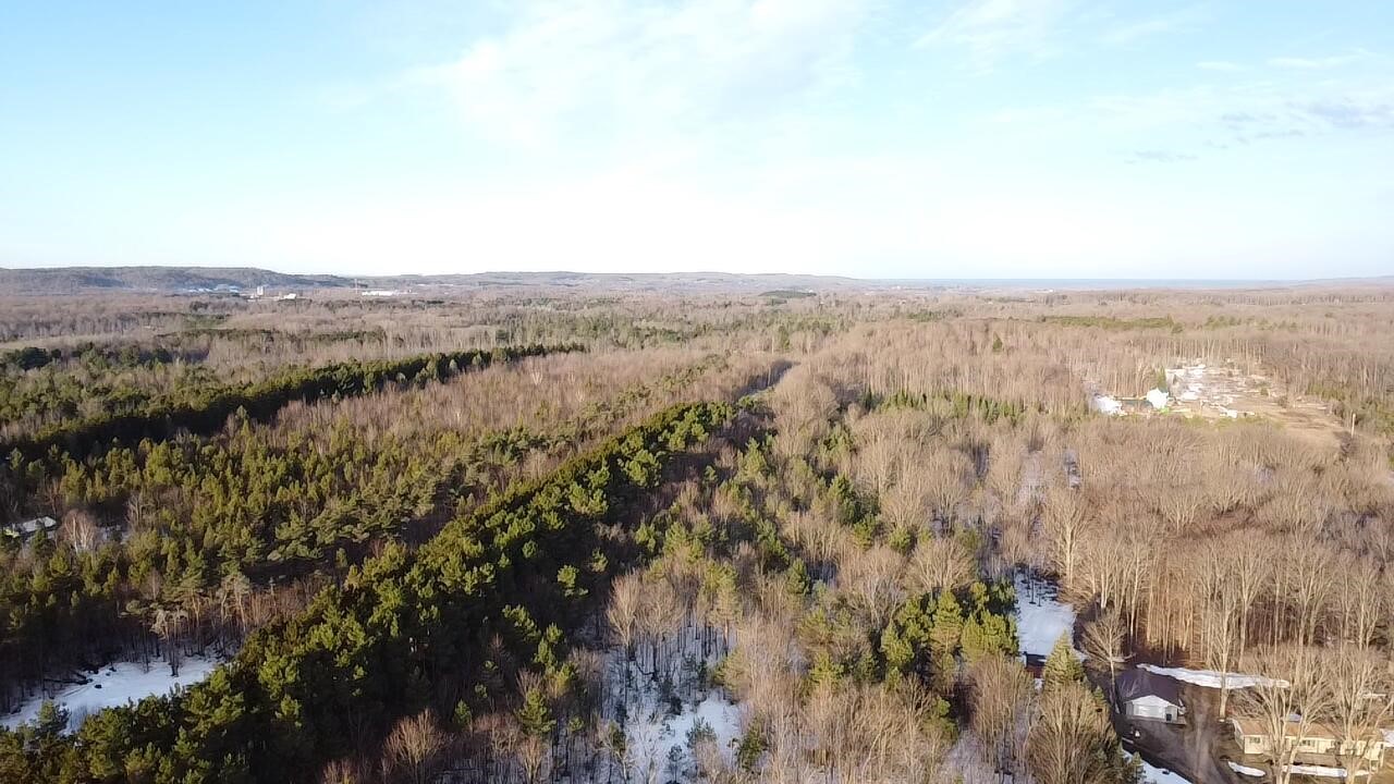 5766 Wallaker Road, Benzonia, MI, 49616-49616