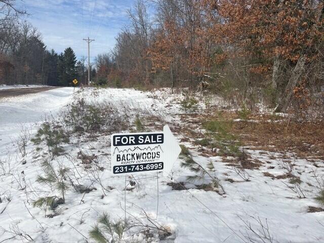 Homes for sale in Marion, MI | N 5th Ave, Marion, MI 49665 | MLS# 70519558