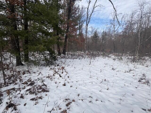 Homes for sale in Marion, MI | N 5Th Ave, Marion, MI 49665 | MLS# 70519558