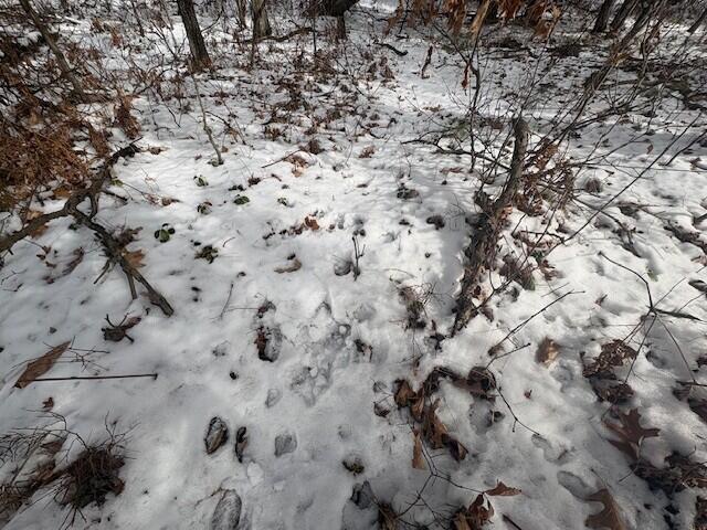 Homes for sale in Marion, MI | N 5th Ave, Marion, MI 49665 | MLS# 70519558