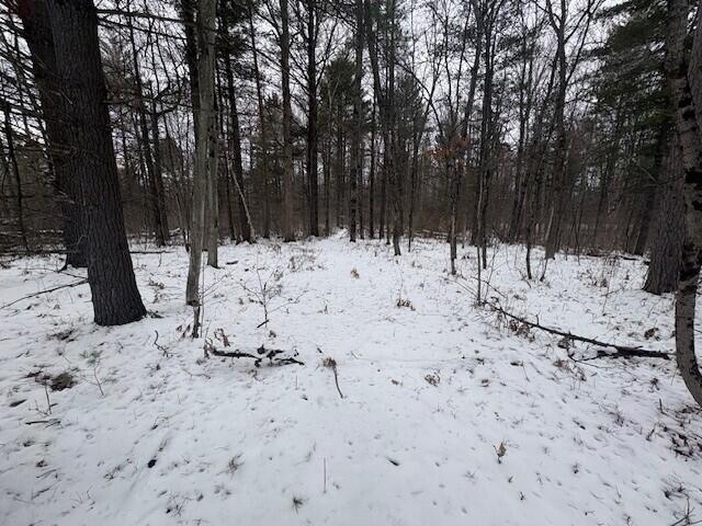 Homes for sale in Marion, MI | 492 14 Mile Rd, Marion, MI 49665 | MLS# 70519559