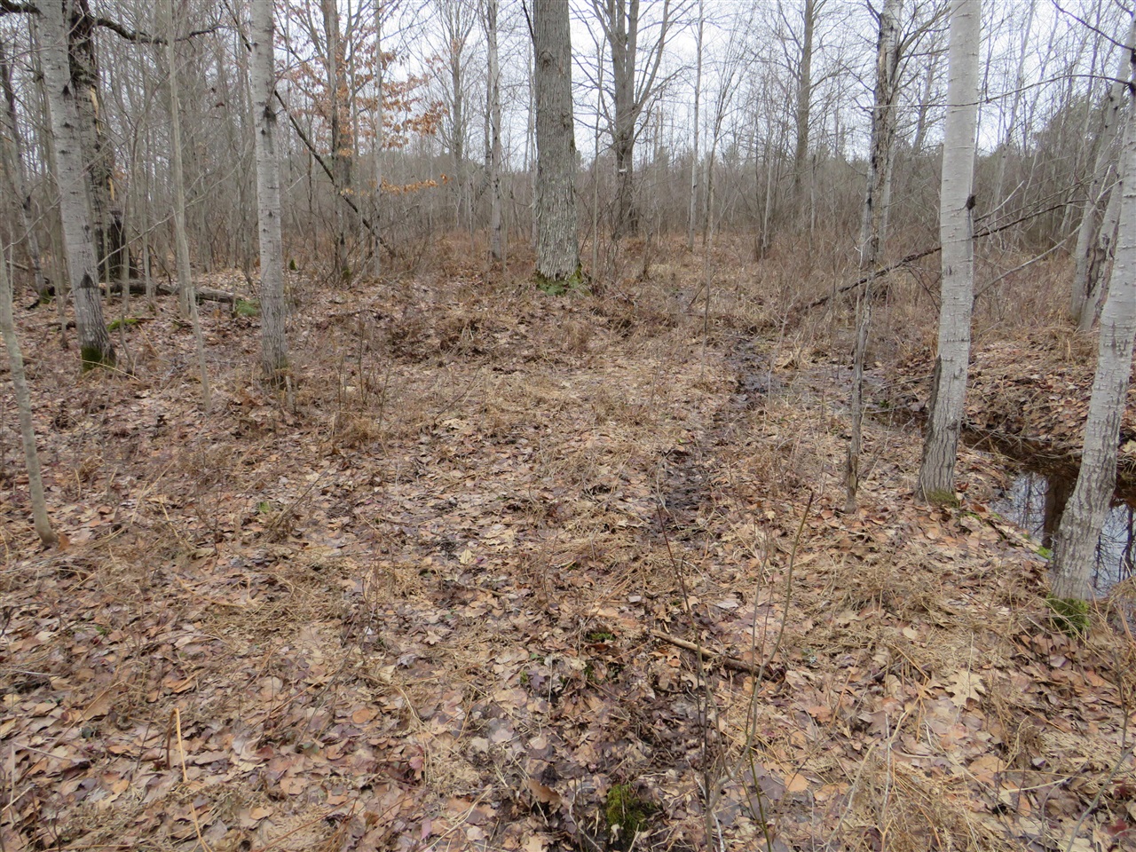 Homes for sale in Merritt, MI | N Dorr Rd, Merritt, MI 49667 | MLS# 70519563