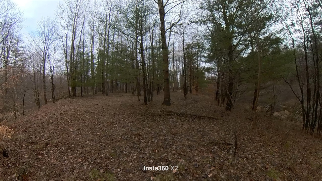 00 20 Mile Rd., Marion, MI, 49665