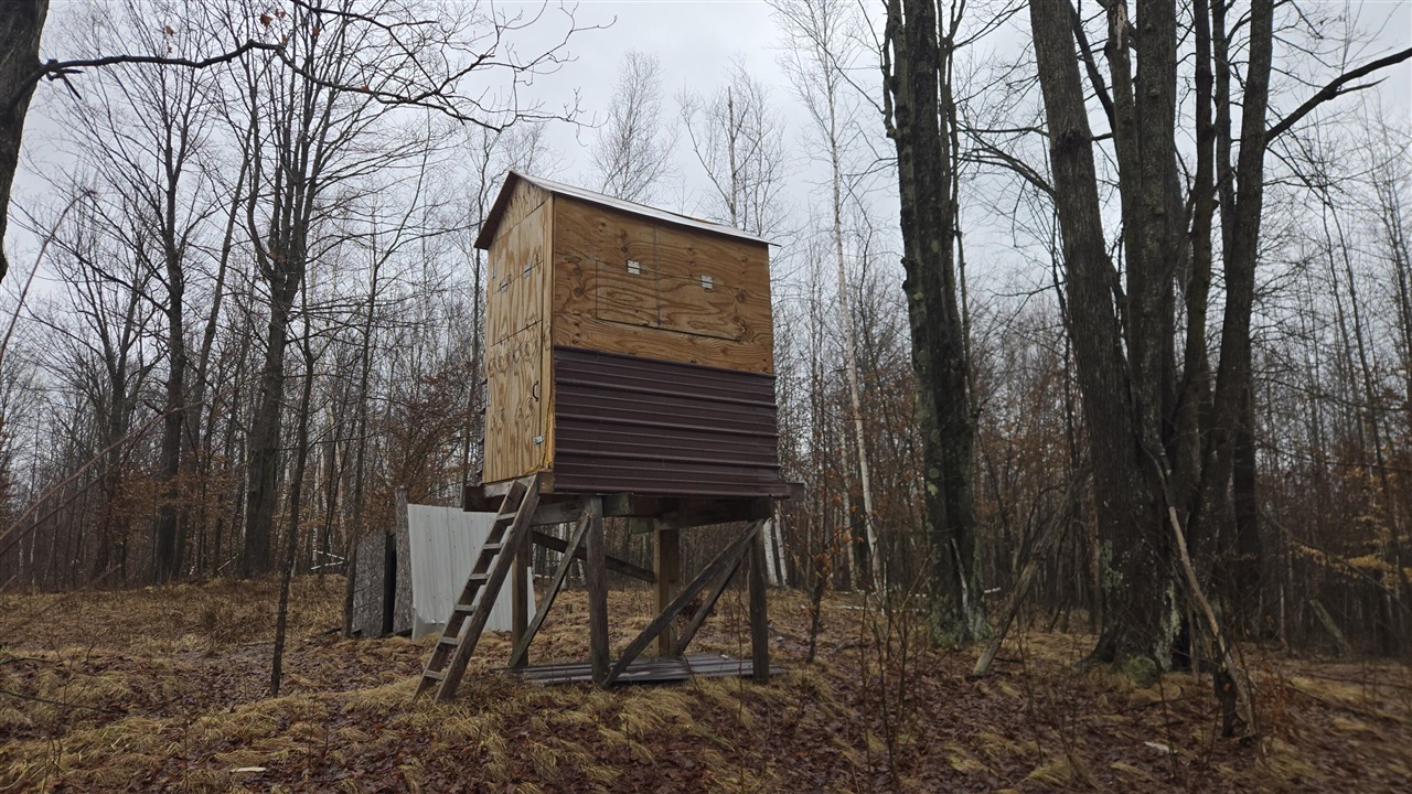 00 20 Mile Rd., Marion, MI, 49665