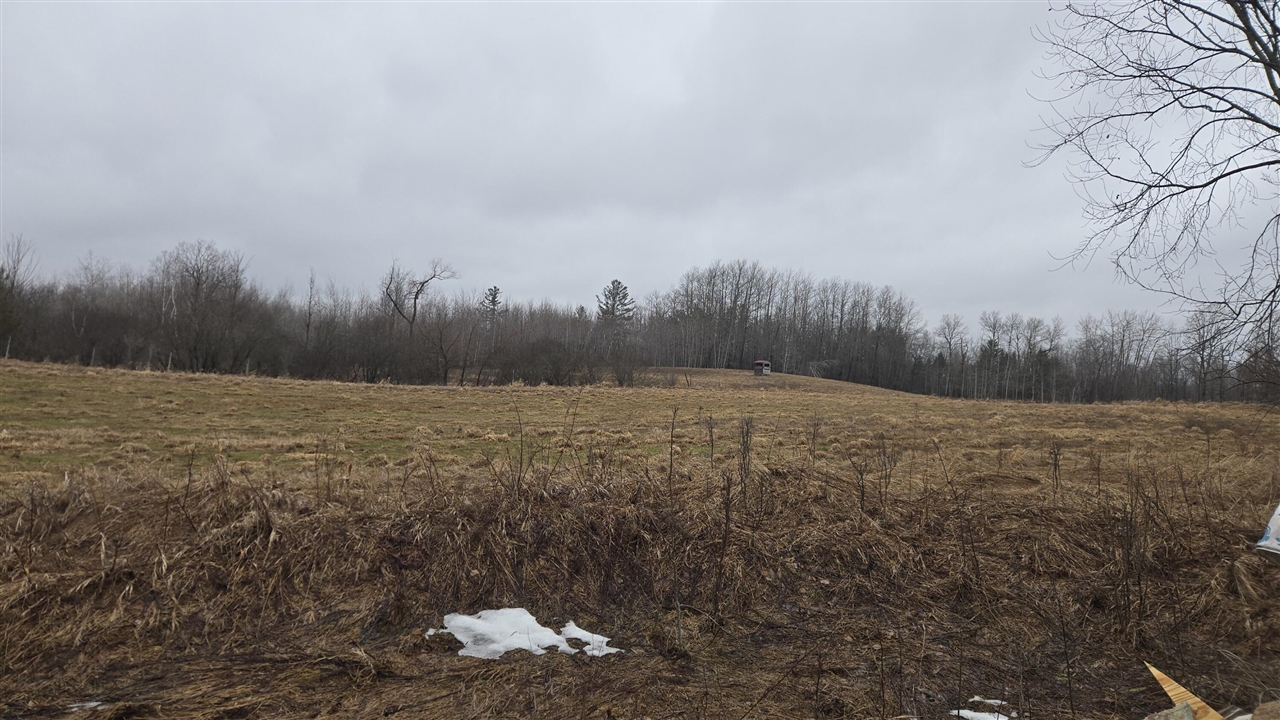 00 20 Mile Rd., Marion, MI, 49665