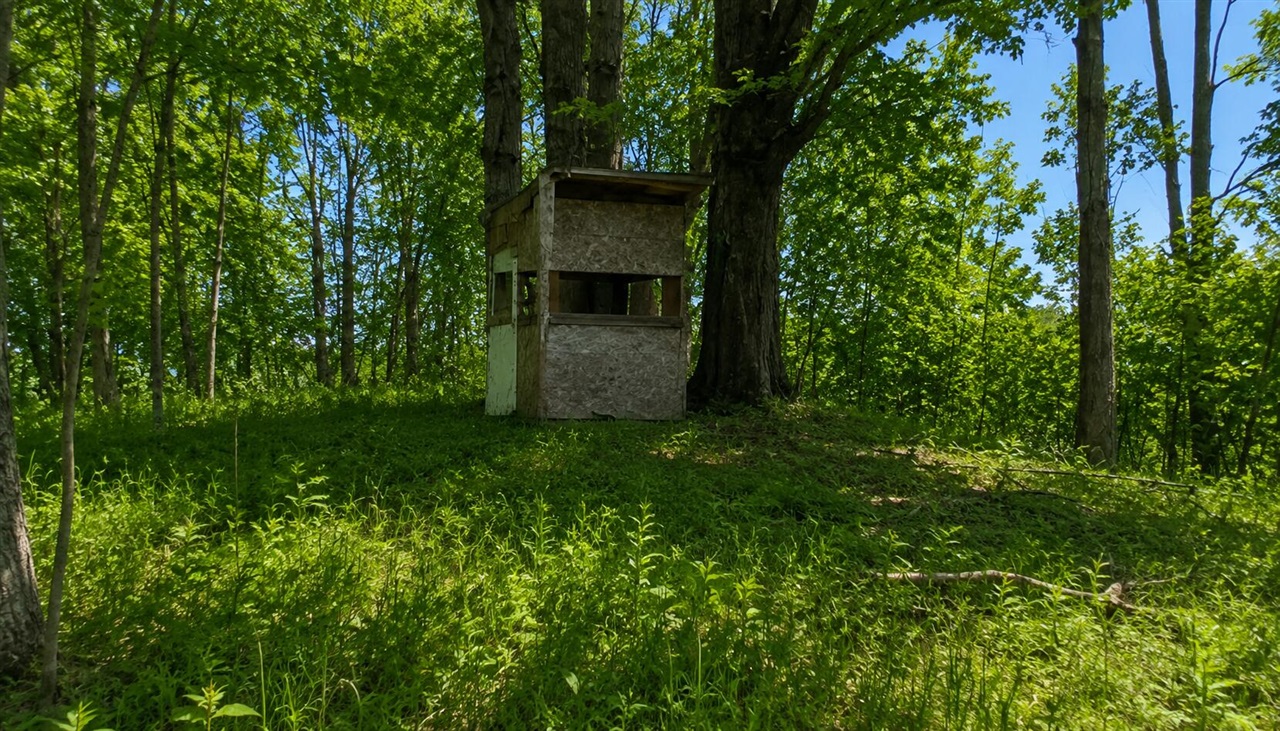 24th image of 00 20 Mile Rd, Marion, MI 49665 | MLS# 70519618