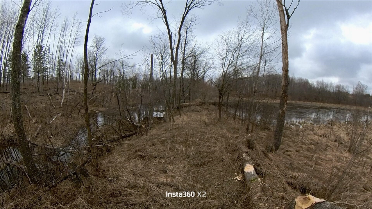 00 20 Mile Rd., Marion, MI, 49665