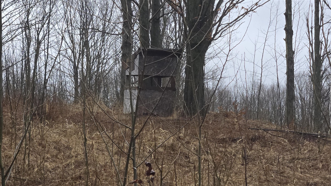 00 20 Mile Rd., Marion, MI, 49665