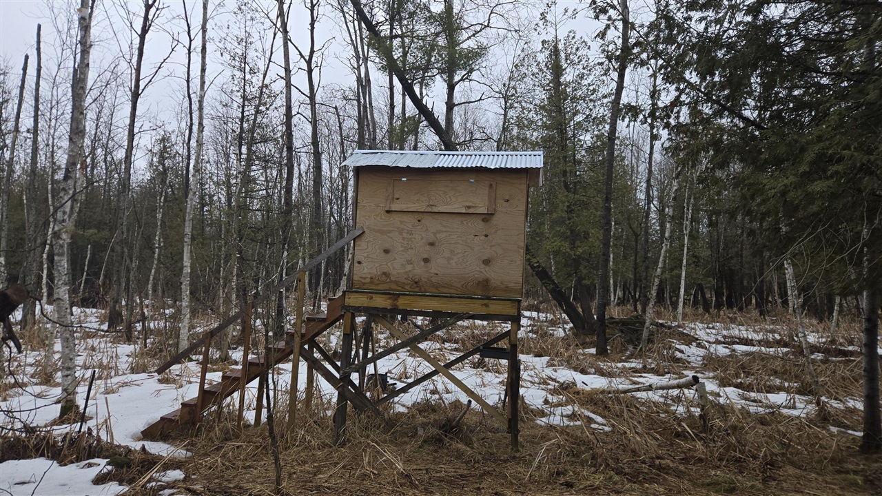 00 20 Mile Rd., Marion, MI, 49665