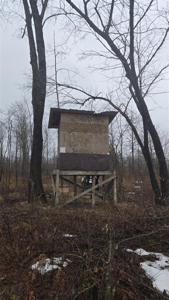 00 20 Mile Rd., Marion, MI, 49665