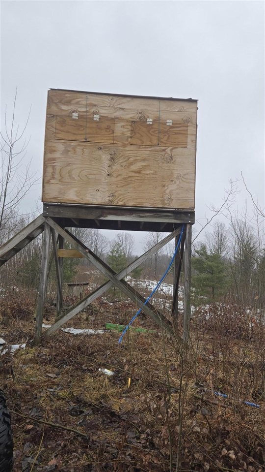 00 20 Mile Rd., Marion, MI, 49665