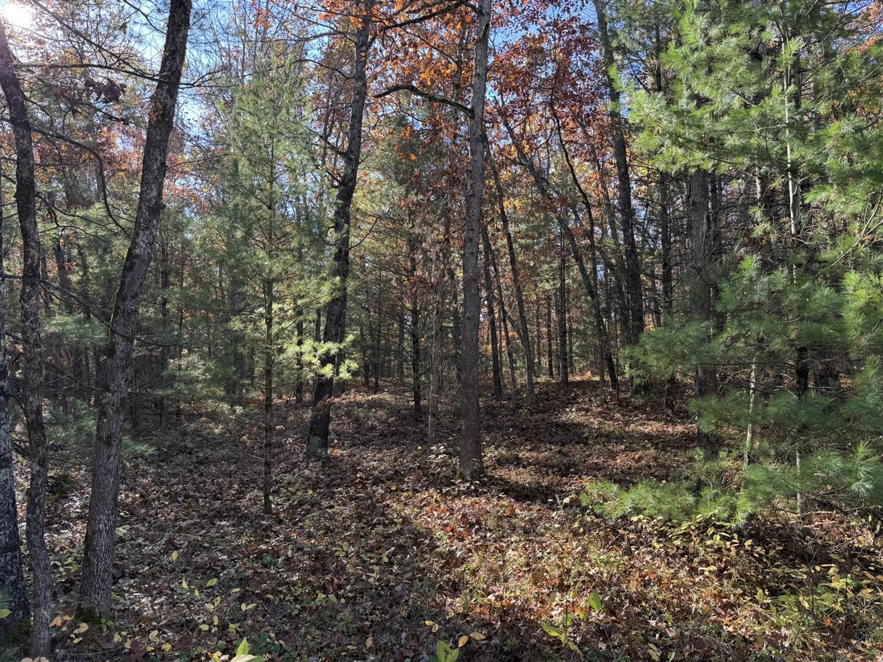 Parcel 5 County Line Road, Free Soil, MI, 49411