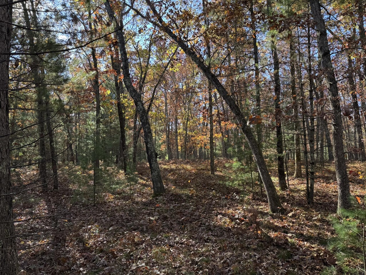 Parcel 5 County Line Road, Free Soil, MI, 49411
