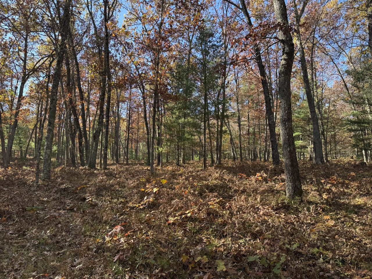 Parcel 5 County Line Road, Free Soil, MI, 49411