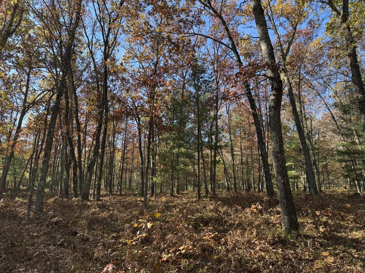 Parcel 5 County Line Road, Free Soil, MI, 49411