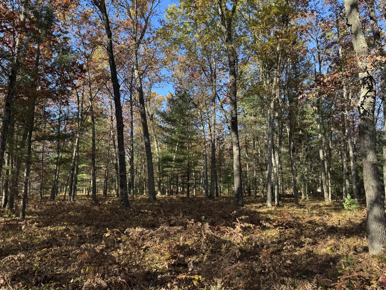 Parcel 5 County Line Road, Free Soil, MI, 49411