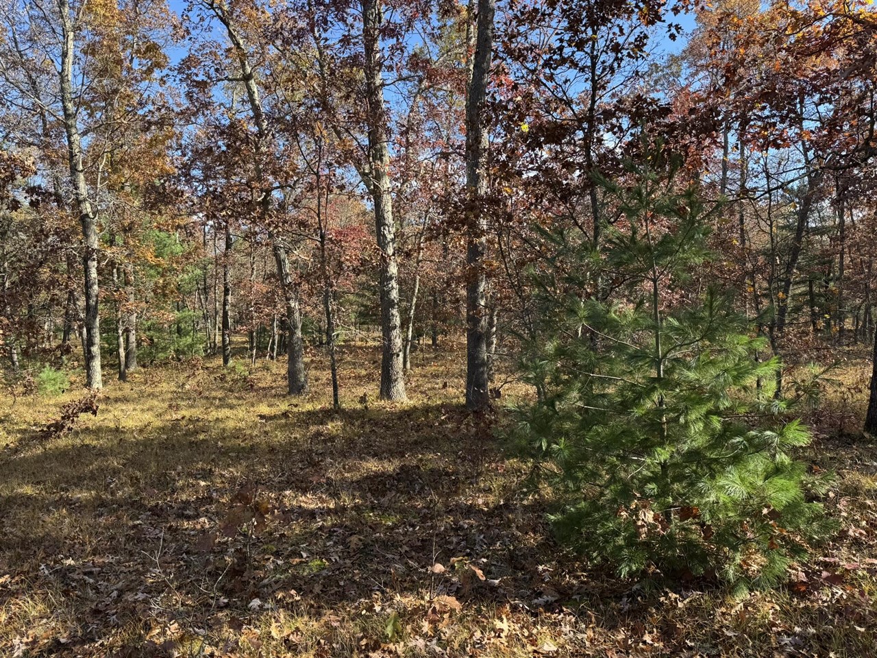 Parcel 9 County Line Road, Free Soil, MI, 49411