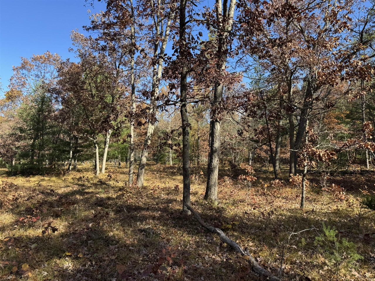 Parcel 9 County Line Road, Free Soil, MI, 49411