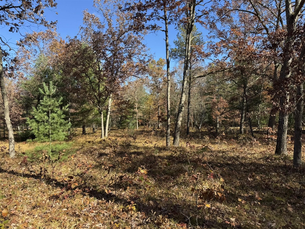 Parcel 9 County Line Road, Free Soil, MI, 49411