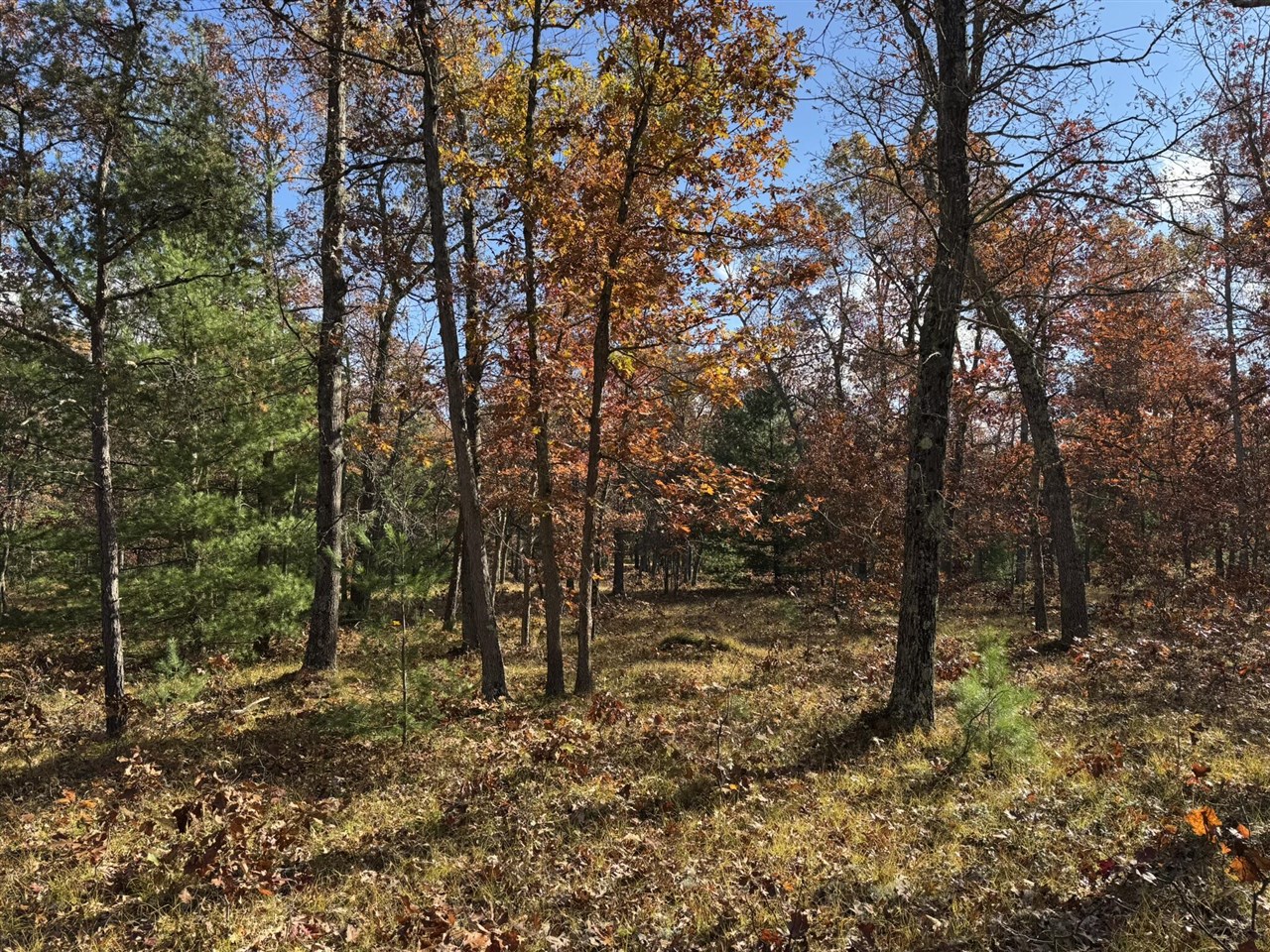 Parcel 9 County Line Road, Free Soil, MI, 49411