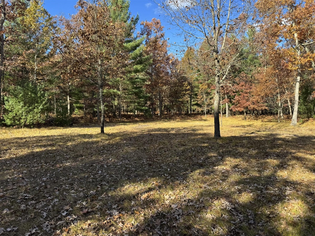 Parcel 13 County Line Road, Free Soil, MI, 49411