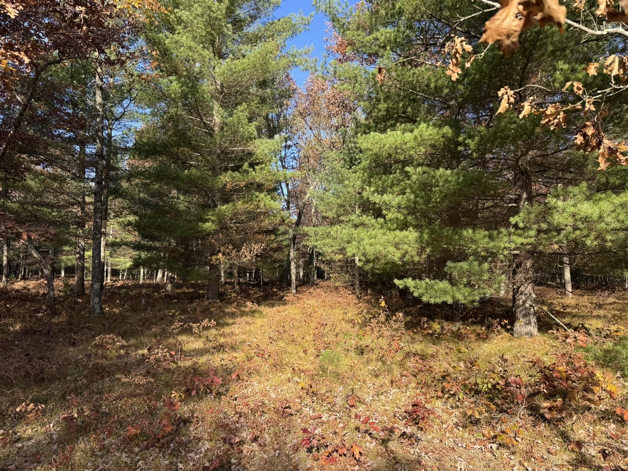 Parcel 13 County Line Road, Free Soil, MI, 49411