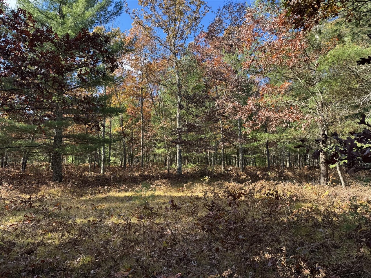Parcel 13 County Line Road, Free Soil, MI, 49411