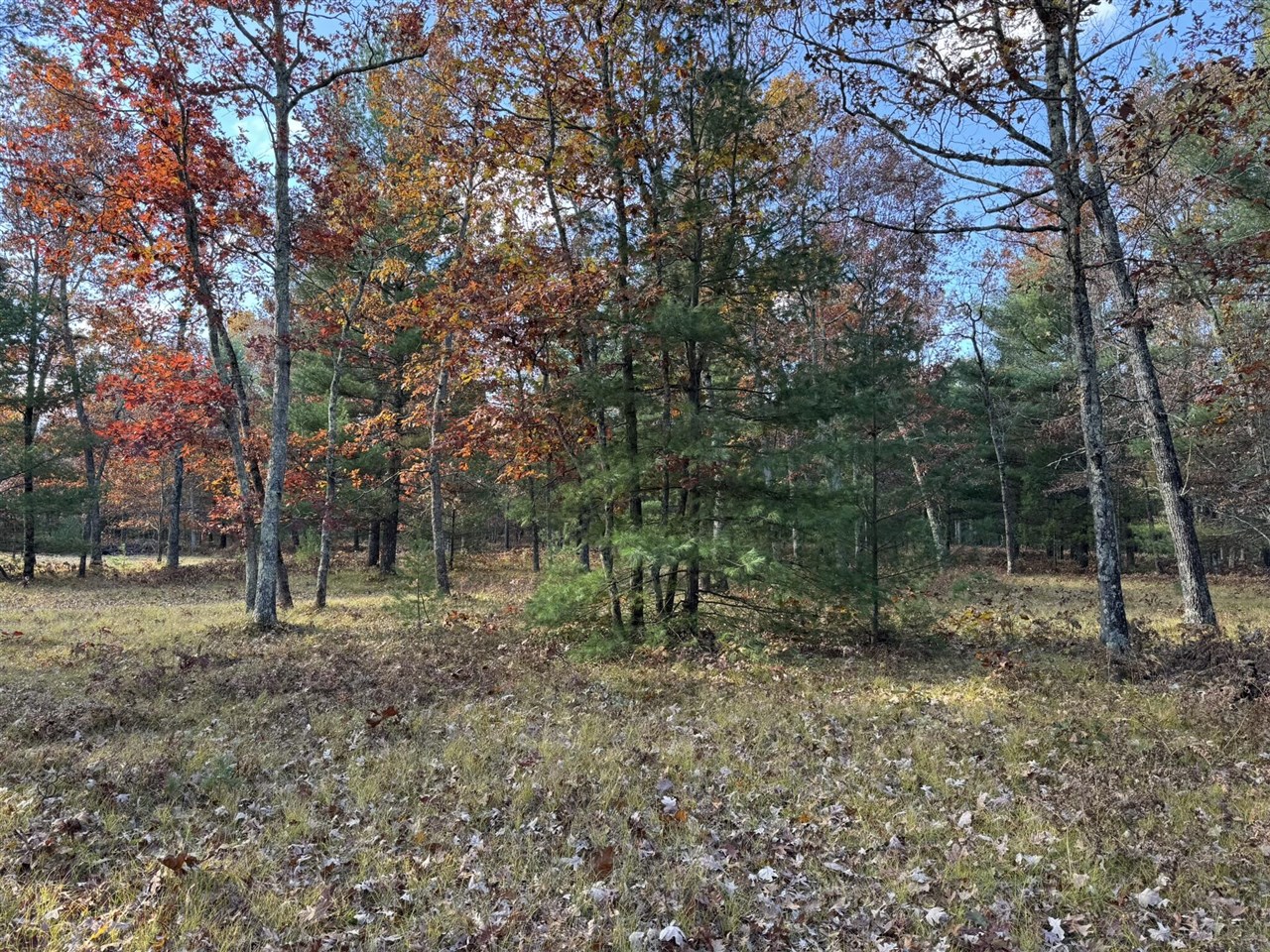 Parcel 13 County Line Road, Free Soil, MI, 49411