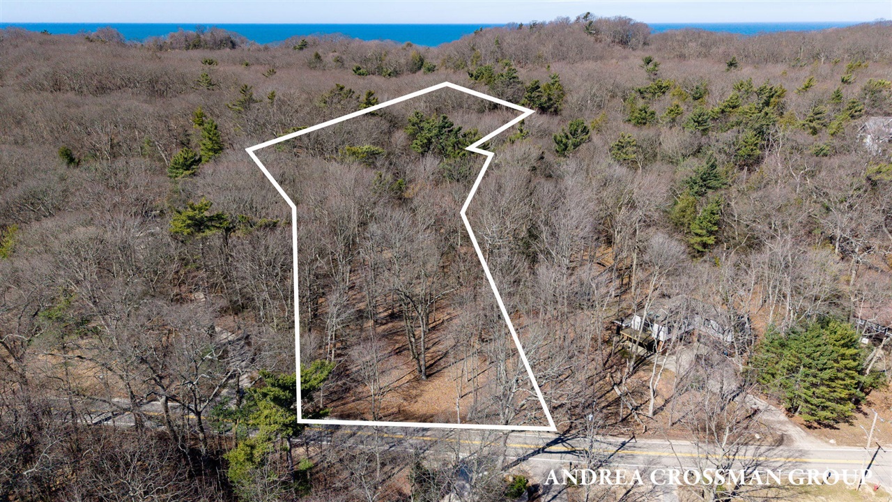 Homes for sale in Saugatuck, MI | 110 Park St, Saugatuck, MI 49453 | MLS# 70519736