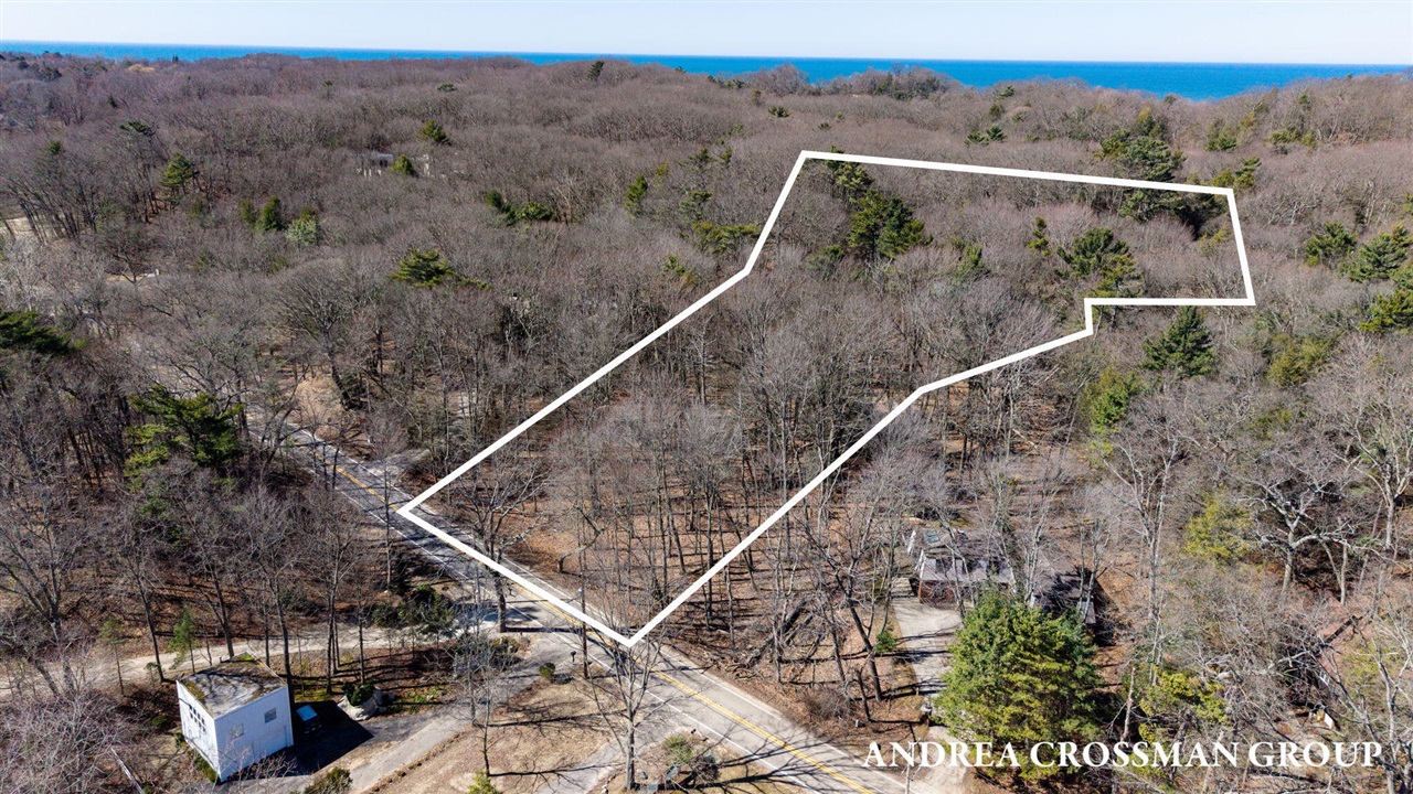 Homes for sale in Saugatuck, MI | 110 Park St, Saugatuck, MI 49453 | MLS# 70519736