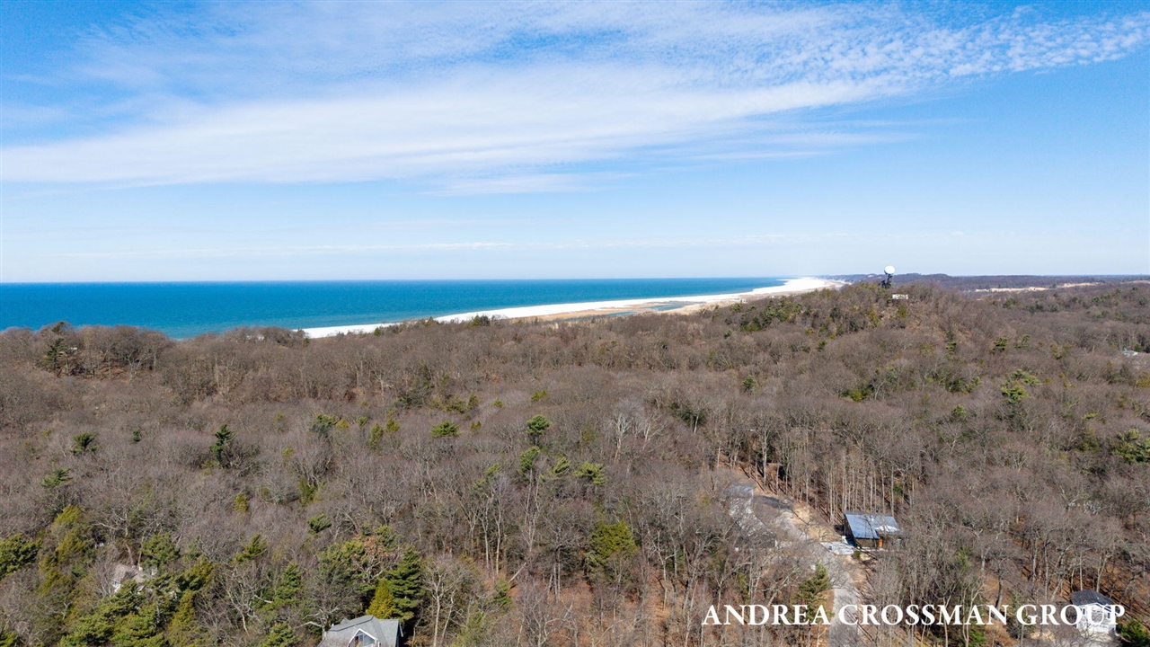 Homes for sale in Saugatuck, MI | 110 Park St, Saugatuck, MI 49453 | MLS# 70519736