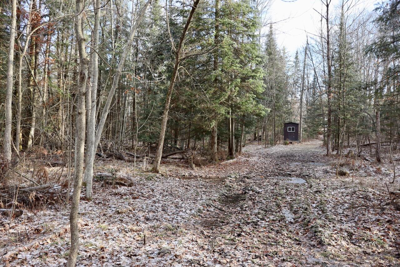 5717 Maple Ridge Road, Sterling, MI, 48659-9210