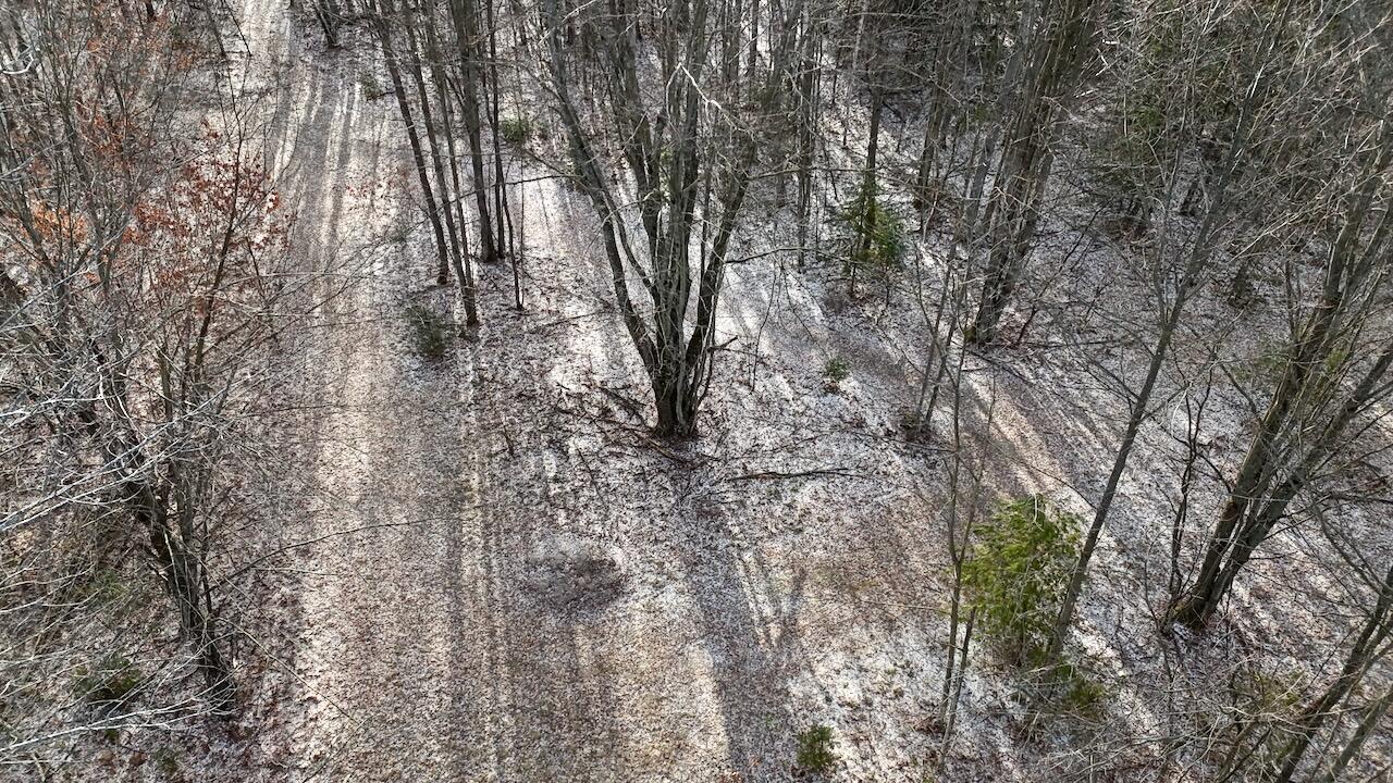 5717 Maple Ridge Road, Sterling, MI, 48659-9210