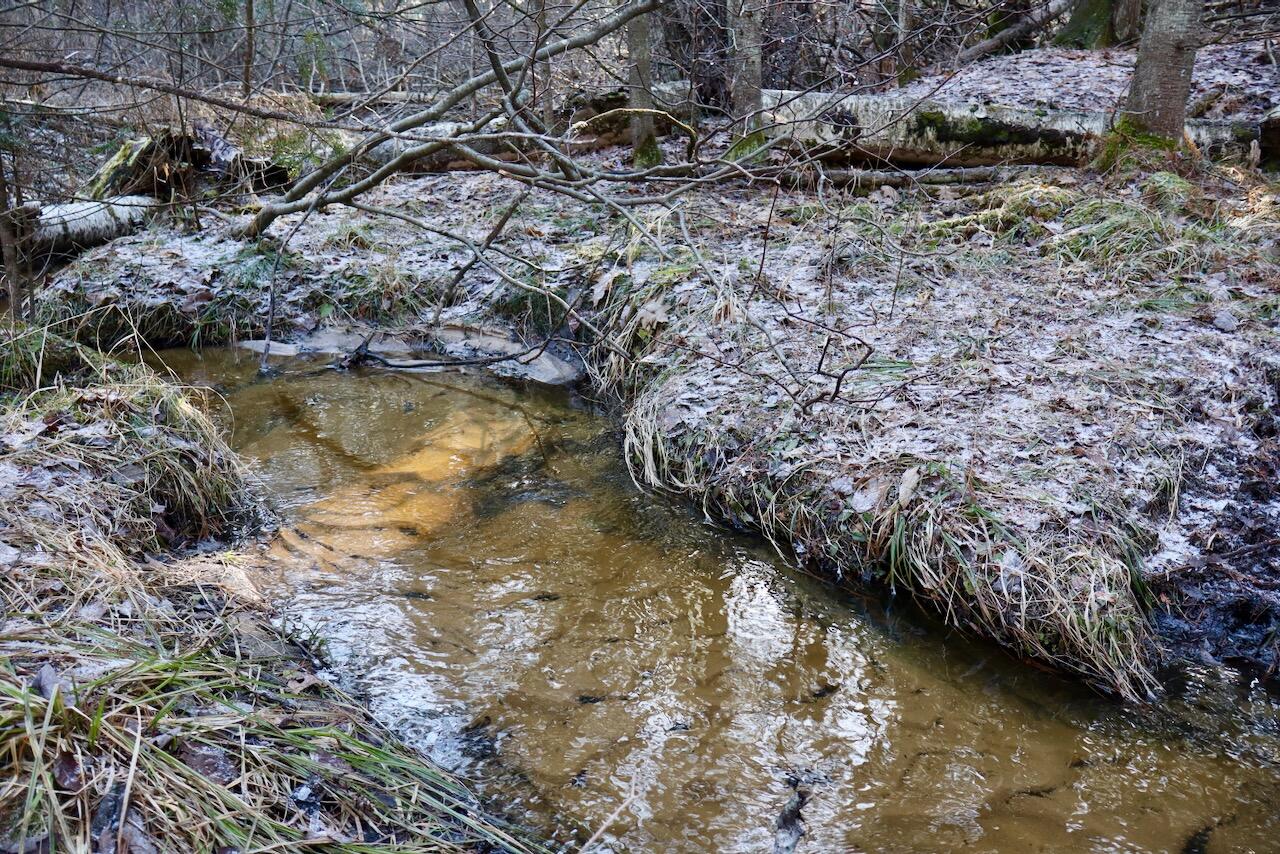 5717 Maple Ridge Road, Sterling, MI, 48659-9210