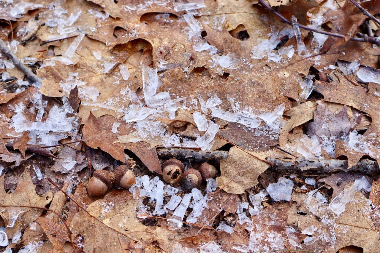 5717 Maple Ridge Road, Sterling, MI, 48659-9210