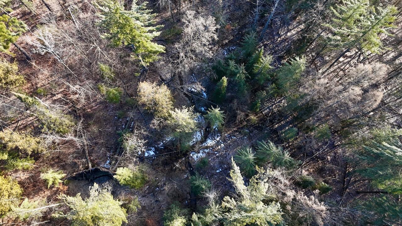 5717 Maple Ridge Road, Sterling, MI, 48659-9210