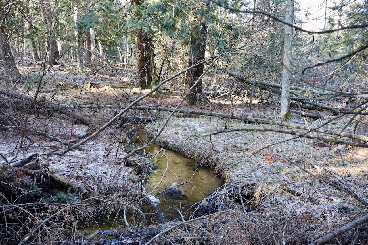 5717 Maple Ridge Road, Sterling, MI, 48659-9210