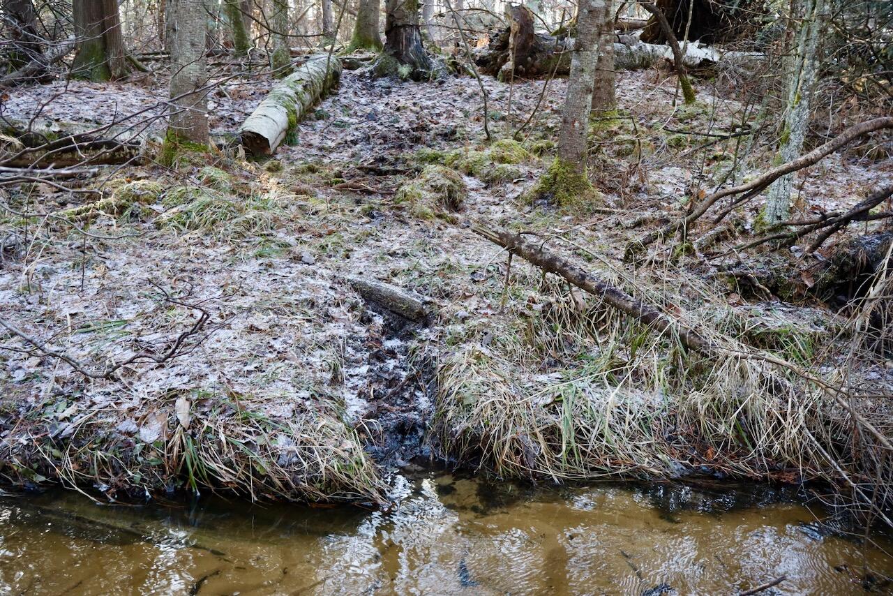 5717 Maple Ridge Road, Sterling, MI, 48659-9210