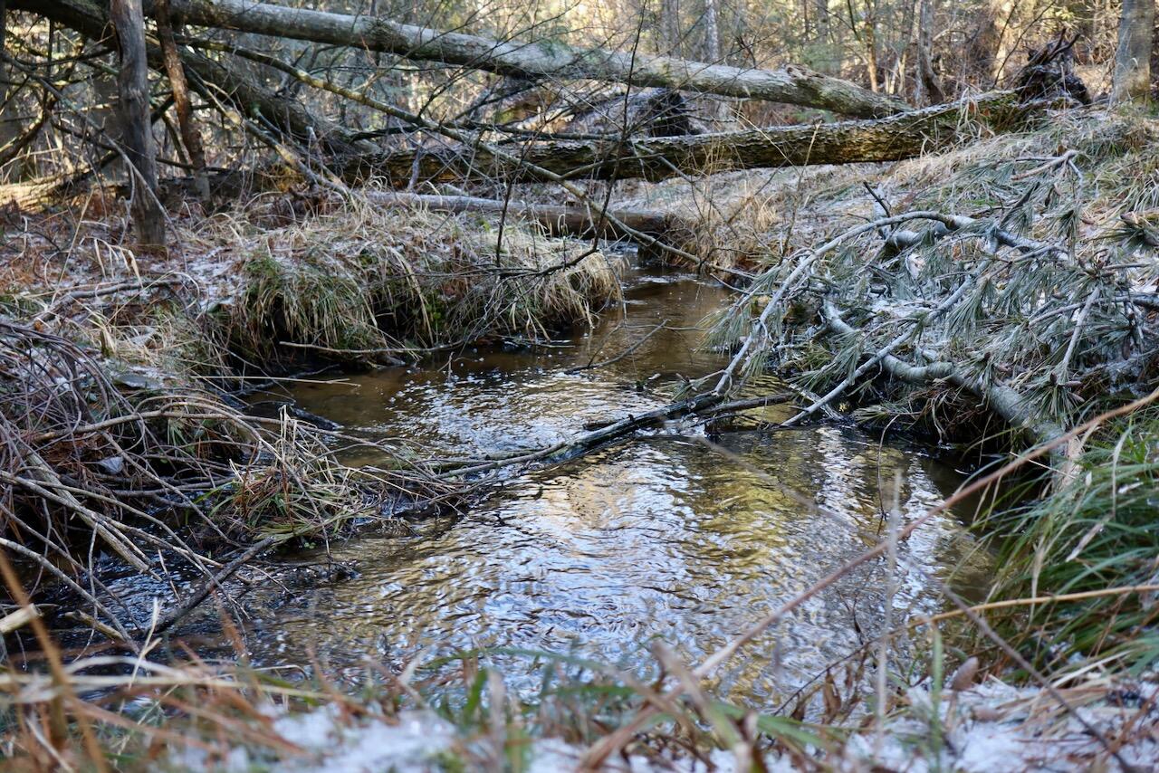 5717 Maple Ridge Road, Sterling, MI, 48659-9210