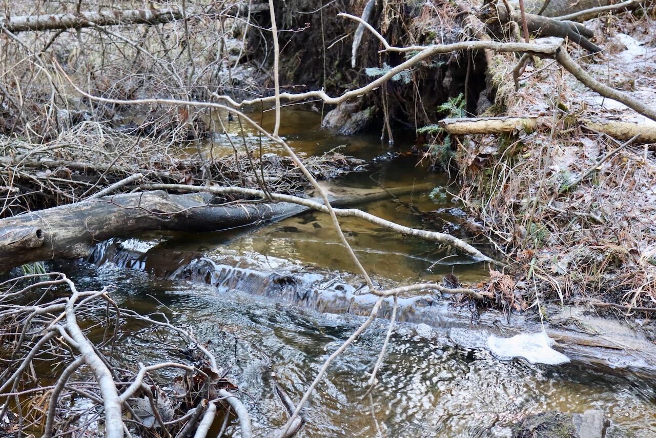 5717 Maple Ridge Road, Sterling, MI, 48659-9210