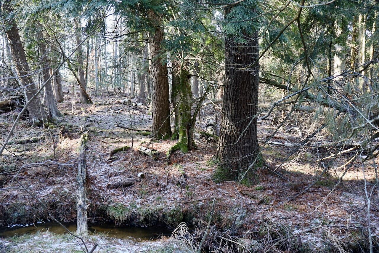 5717 Maple Ridge Road, Sterling, MI, 48659-9210