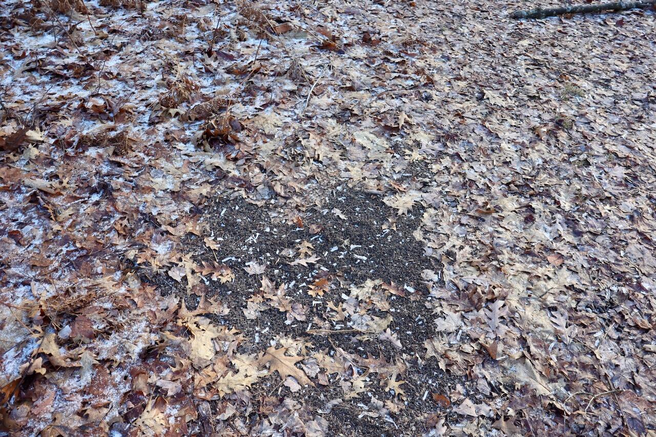 5717 Maple Ridge Road, Sterling, MI, 48659-9210